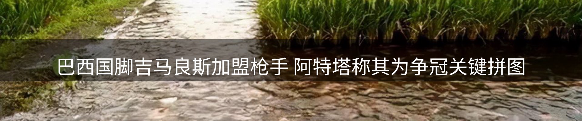 内页banner