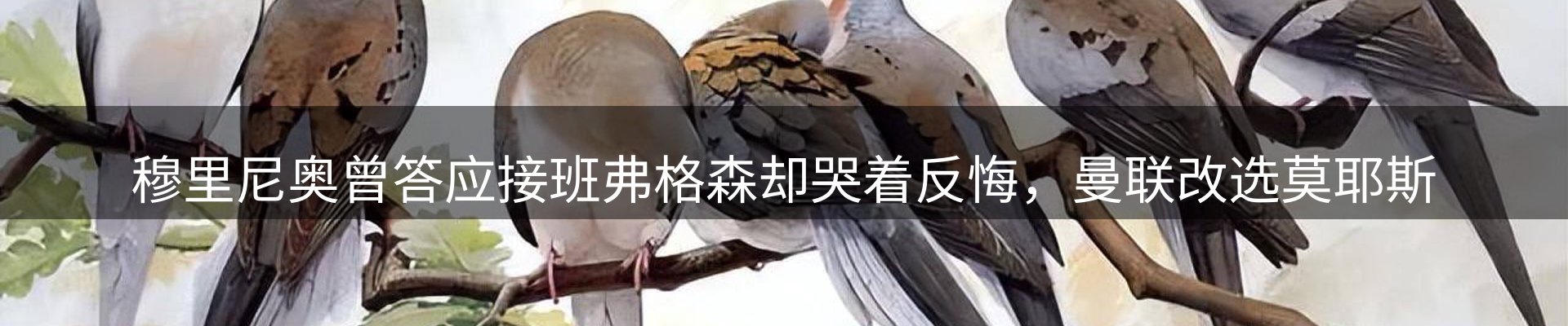 内页banner