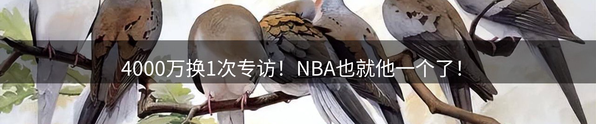 内页banner