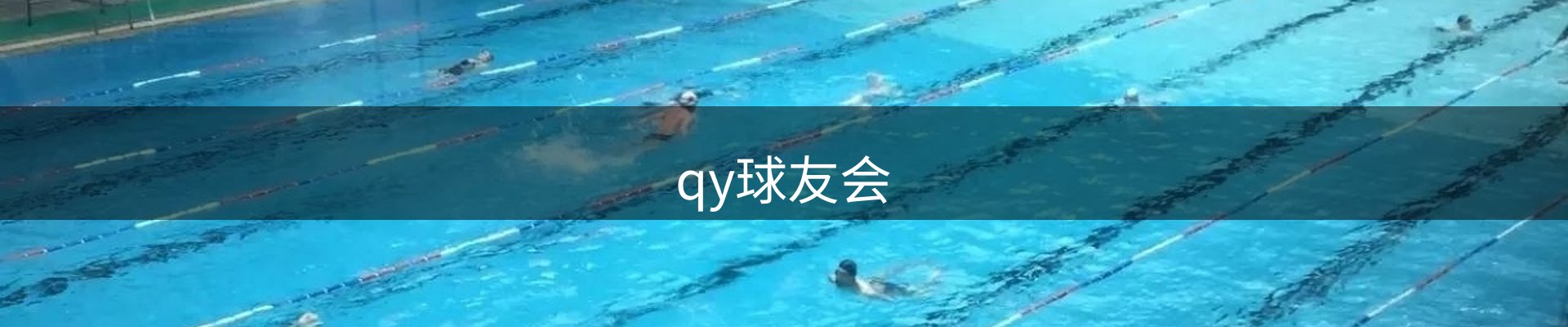 qy球友会